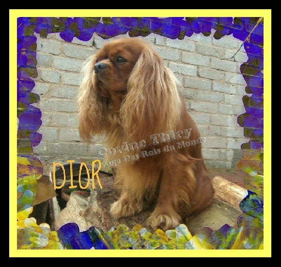CH. Dior Des rois du monde