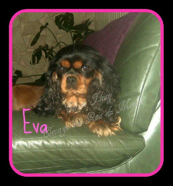 Eva Des rois du monde