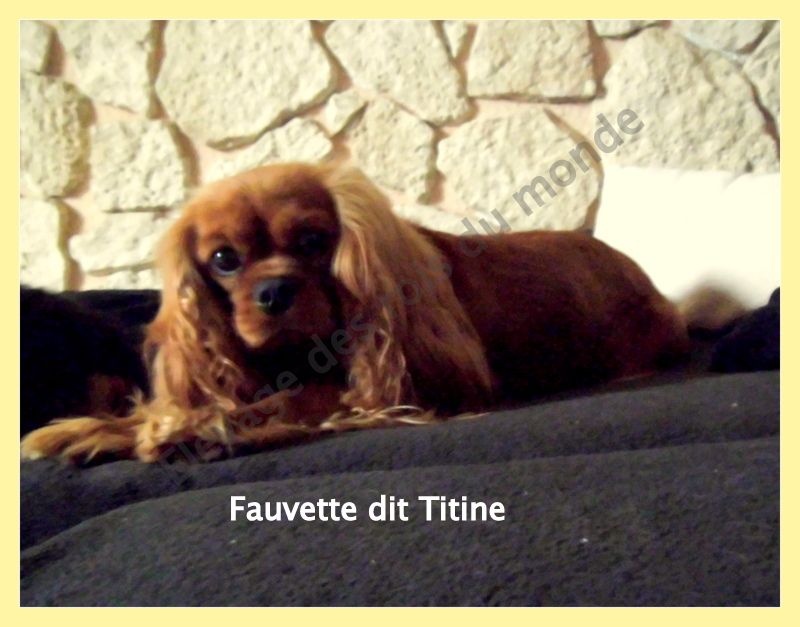 Fauvette dit titine Des rois du monde