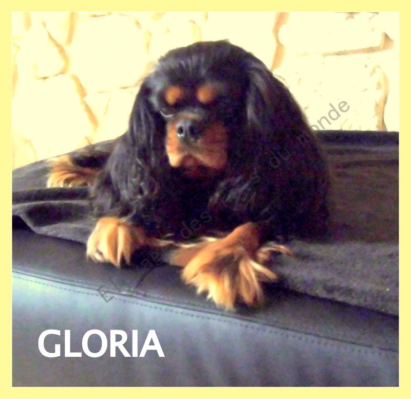 Gloria Des rois du monde