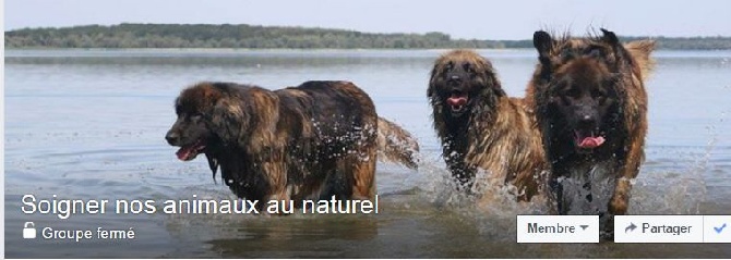 SOIGNER VOS ANIMAUX AU NATUREL !!